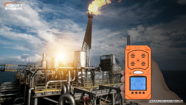 1736839918271234.jpg 15.CD4防爆無(wú)線復(fù)合氣體檢測(cè)儀第4代.jpg